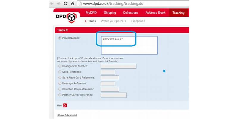 A Beginner&rsquo;s Guide to Dpd Local Tracking