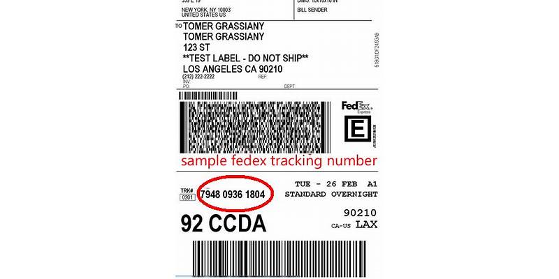 The Best Ways to Improve Your Fedex Tracking Number Example