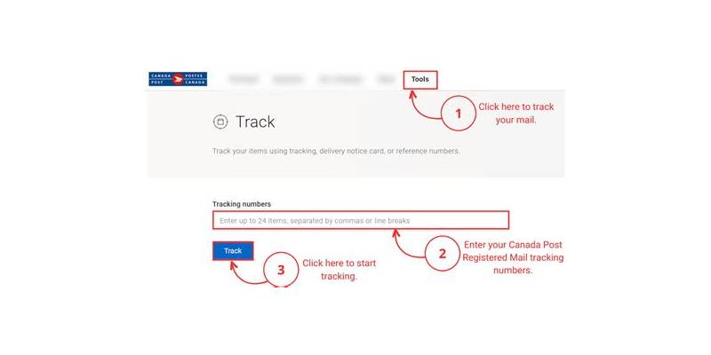 Essential Tips for Finding the Right Intl Post Tracking