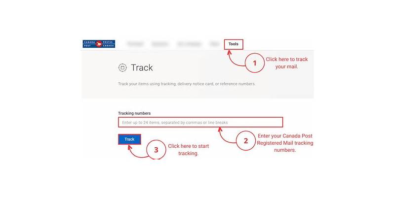 What Are the Essential Intl Post Tracking Tips