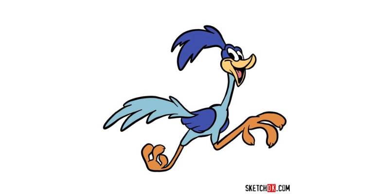 The Comprehensive Road Runner Tracking Handbook