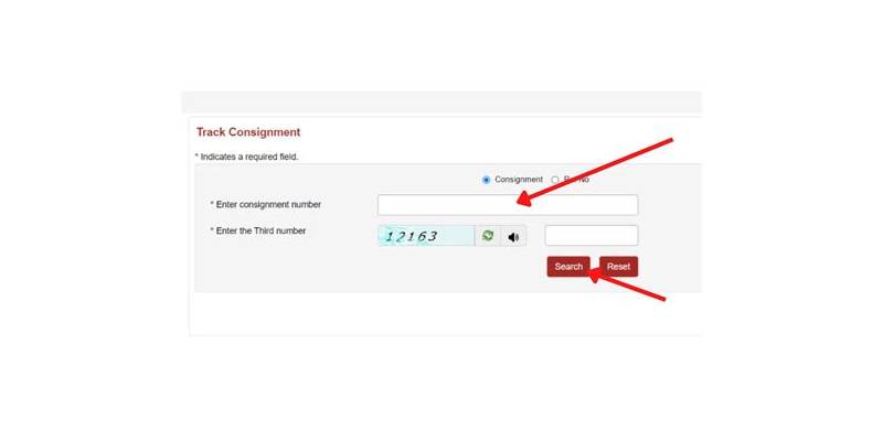Essential Tools for Track Consignment Mastery