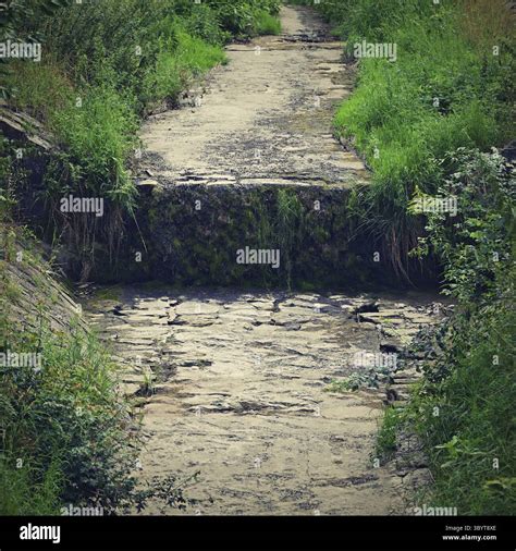 Dried stream forest beautiful hi-res stock photography and images - Alamy 
