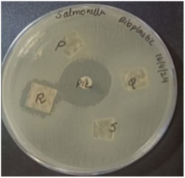 Rosemary oil infused bionanocomposite films: a sustainable and active ... 