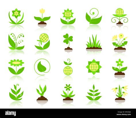 Narcissus valley Cut Out Stock Images & Pictures - Alamy 