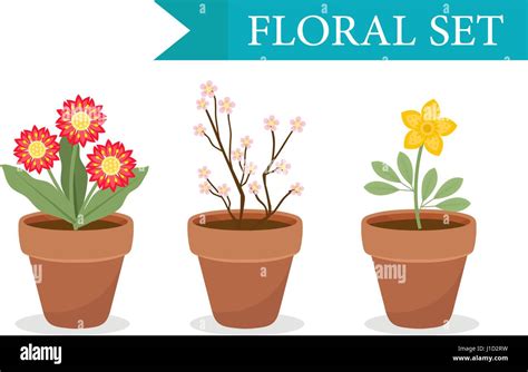 Different house plants Stock Vector Images - Alamy 