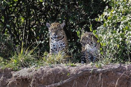 Anna pepe porn leaks she has a beauty and sexiness that