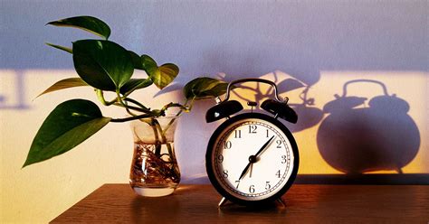 Argentina casting guadalupe telegram fellas handle this