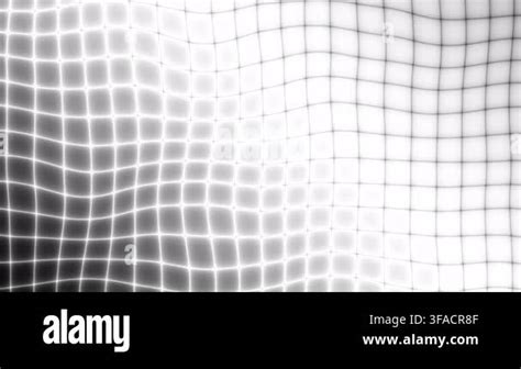 minimalist white grid pattern background animation  modern design