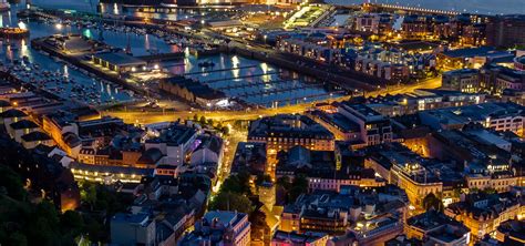 how do you dog shaking easily 11