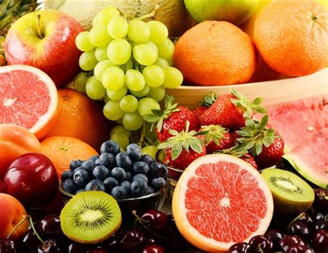 fruit fly brain inspires energy efficient scent classification algorithm