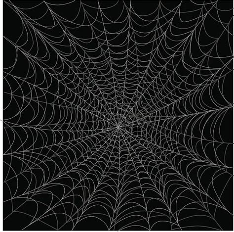 Free spider web clipart Vector Images & Graphics | FreeImages