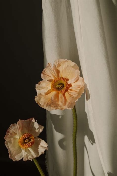 Pin Van Allana Op Sienna Bloemen Boeket Zijden Bloemen Foto