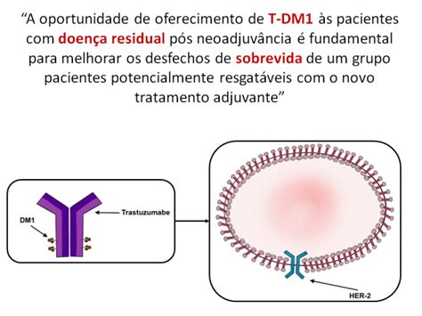 ADC Em Cancro Da Mama HER2 Low Precoce O Que Considerar