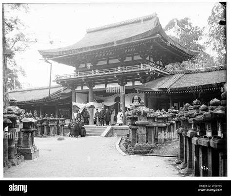 Spring animal activity Cut Out Stock Images & Pictures - Alamy 