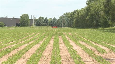86 new homes to be built in new subdivision in Elkhart northeast side