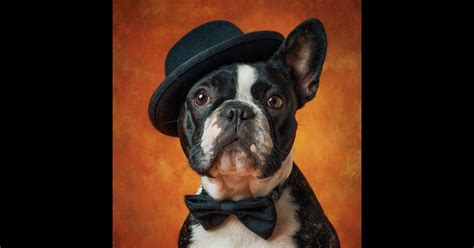 Smooth Room】Smooth Lounge Music to Brighten Your Mood - Tune Pulseのアルバム ... 