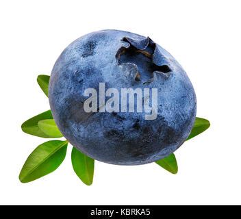 Blackberry Fruit With Leaf Closeup Isolated On White Stock Photo Alamy