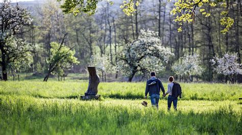 Tamitsunami telegram sure night be rather talkative to an