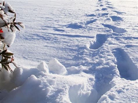 Snowfun and wintersports | Croatia4me - Jouw vakantie naar Kroatië ... 