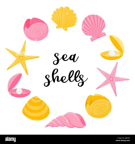 Pink seashell isolated Stock Vector Images - Alamy 