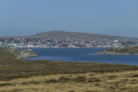 falklands javier milei hails progress  capturing islands