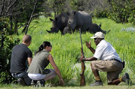 Reasons Why You Need a Safari Guide on a Uganda Safari - Safari ... 