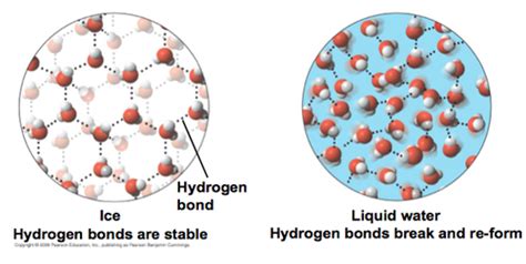 Chem Ch Study Guide Flashcards Quizlet