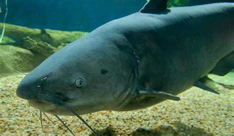 10 day forecast annapolis 4