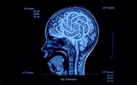 Julia kelly nude video i think that's an indication of how