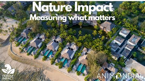 nature impact measuring  matters