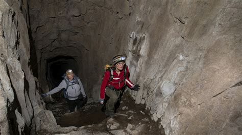 Bat by bat - Eurac Research 