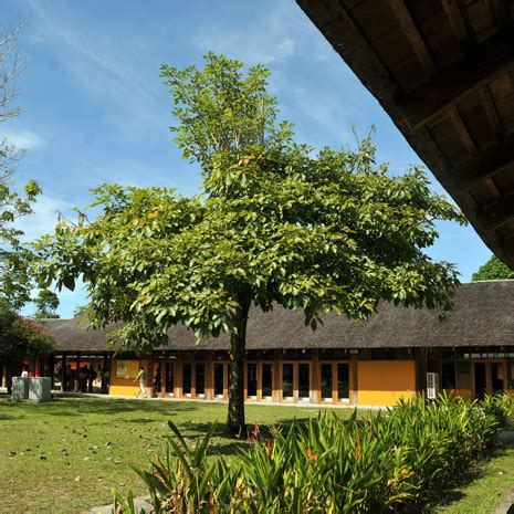es hora de leer sede medellin sistema nacional de bibliotecas