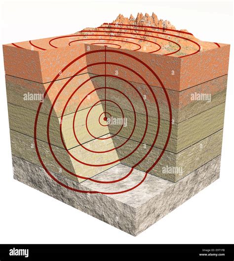 Center section Cut Out Stock Images & Pictures - Alamy 