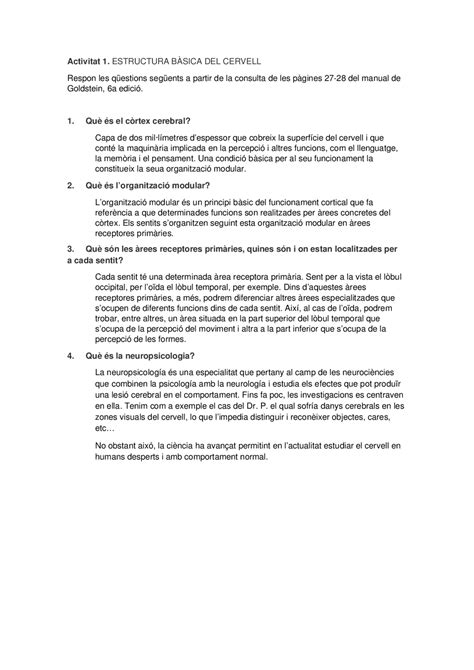 Estructura B Sica Del Cerebro Corteza Cerebral Y Reas Receptivas