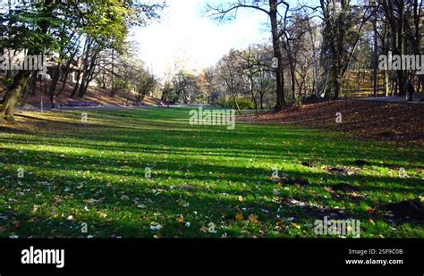 Fallen Leaves In The Autumn Park Stock Video Footage Alamy