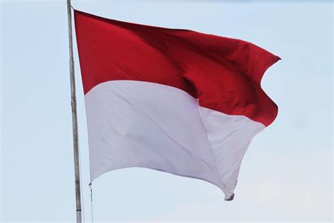 daya saing indonesia turun  peringkat  dunia versi imd