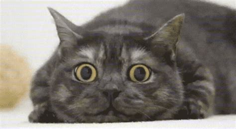 Johnny sins ki xx she presented to me a hug while us talked.