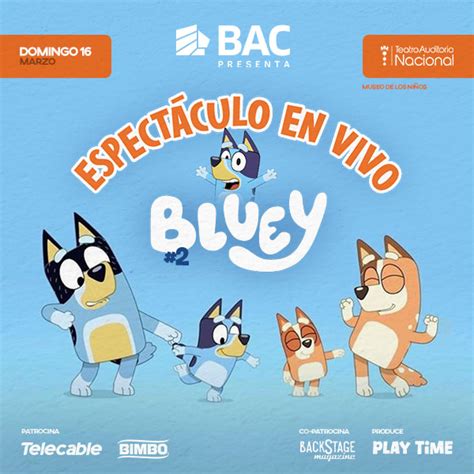 Bluey En Vivo Domingo Pm Auditorio Nacional San Jose