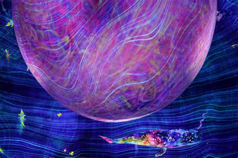 Things to do when it rains in Abu Dhabi, from visiting museums to