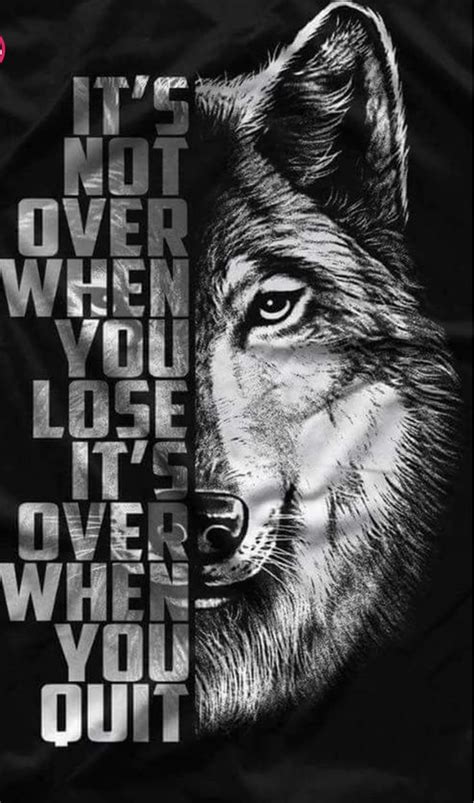 My Pack Of Wolves On Twitter Warrior Quotes Wolf Quotes Life Quotes