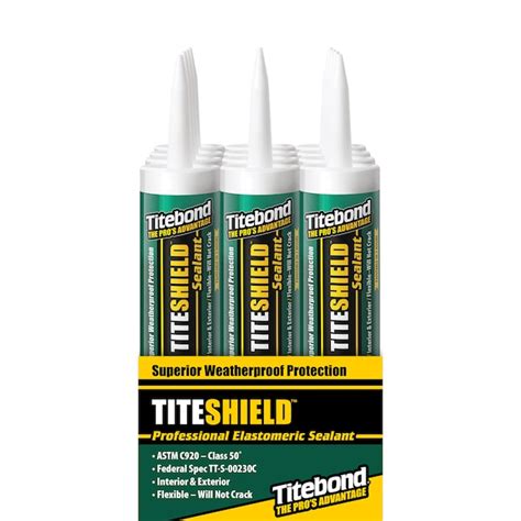 Titebond TiteShield 12-Pack 10.1-oz Multi-use Clear Paintable Acrylic ...