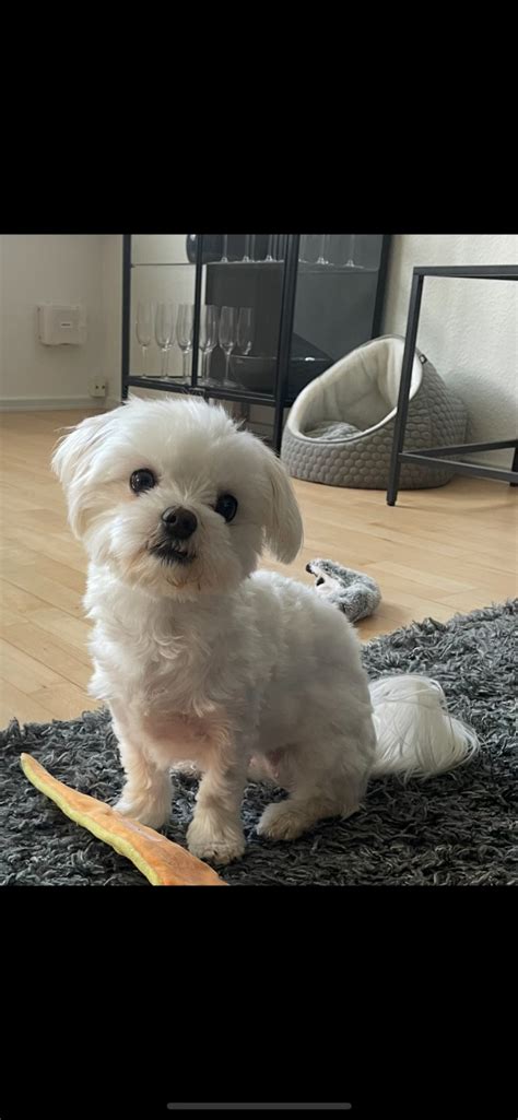 'Familiens guldklump' er forsvundet: Droner, frivillige og clairvoyante