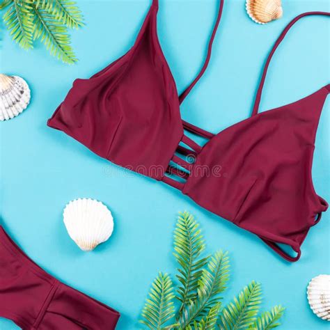 Fondo De Las Vacaciones De Verano Concepto Tropical Del Verano Con El Bikini Las Hojas Y Las