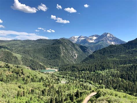 NYU SAT Requirements : Admissionado