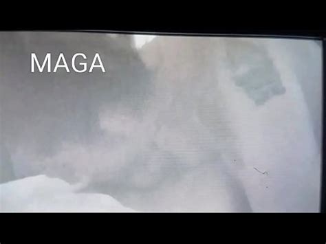 Trump Dick Fucking Cucks Wife XVIDEOS