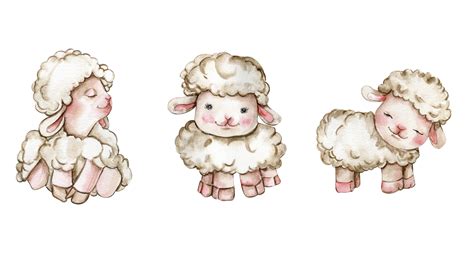 Watercolor Hand Drawn Cute White Fluffy Sheep 24208917 Png