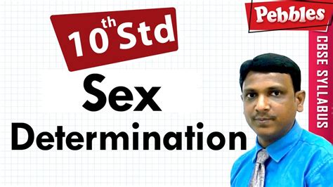Sex Determination Heredity And Evolution CBSE Class10 Biology YouTube