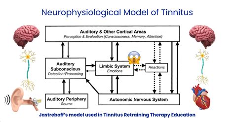 A Critical Review Of Tinnitus Retraining Therapy Neuromed Tinnitus Clinic