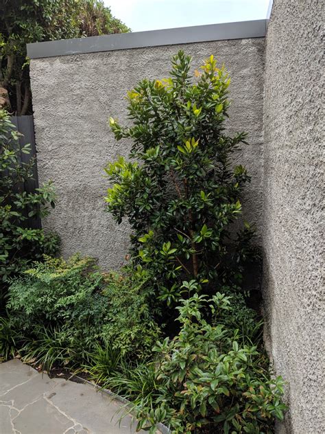 Inspired Landscapes - Residential Projects - Brighton